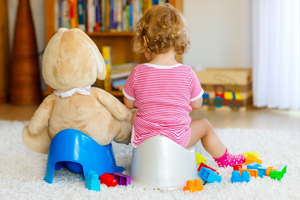 Preparing your Child for Toilet Training